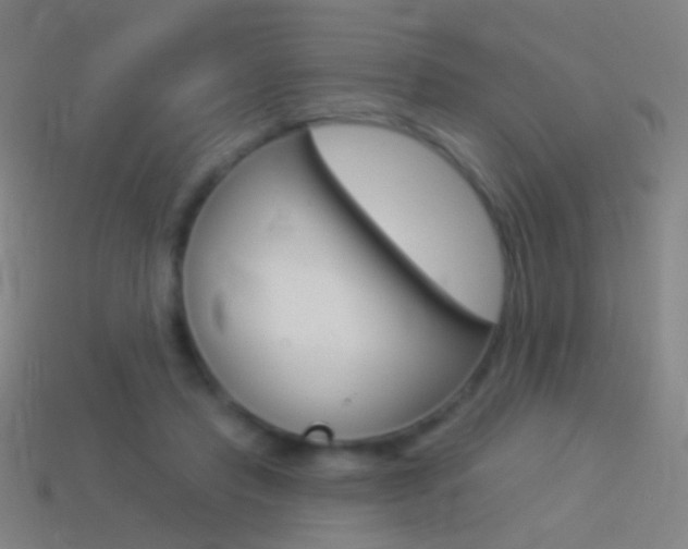 X0000114530453200910191013