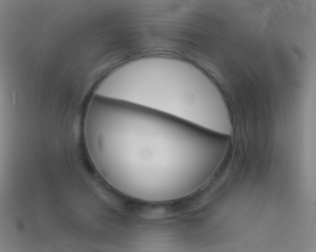 X0000114530454200910191013