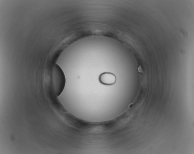X0000114530456200910191013