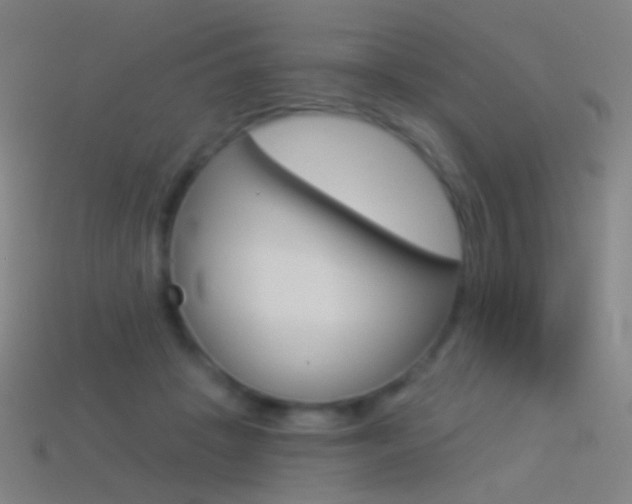 X0000114530457200910191013