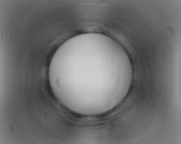 X0000114530461200910191013