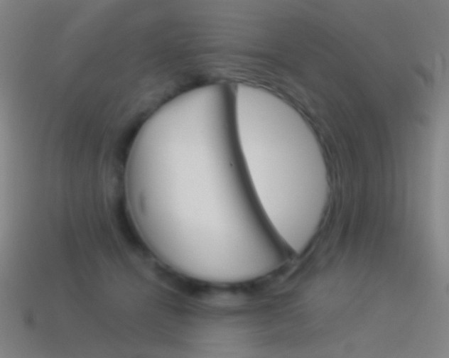 X0000114530464200910191013