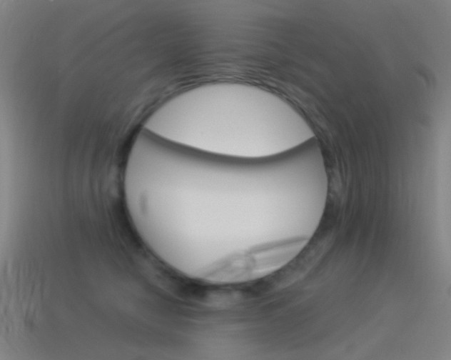 X0000114530470200910191014