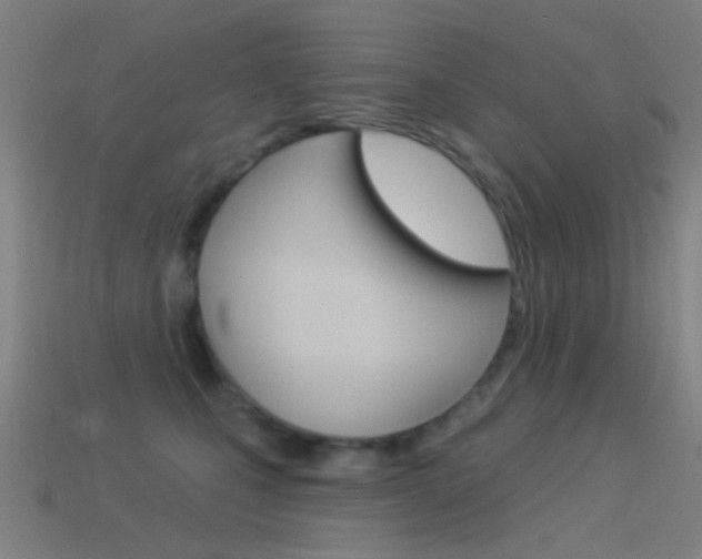 X0000114530471200910191014
