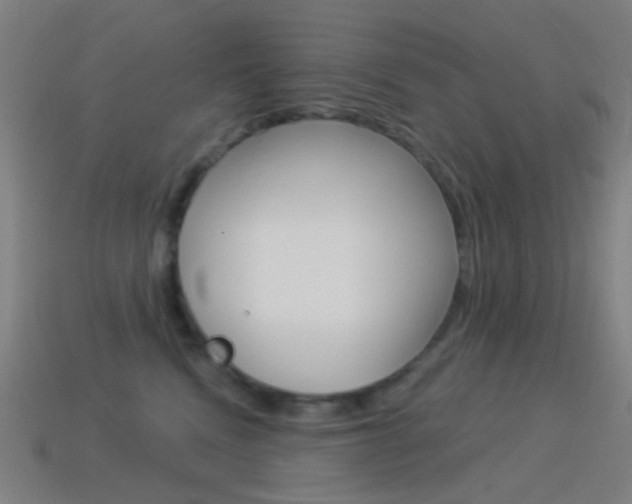 X0000114530472200910191014