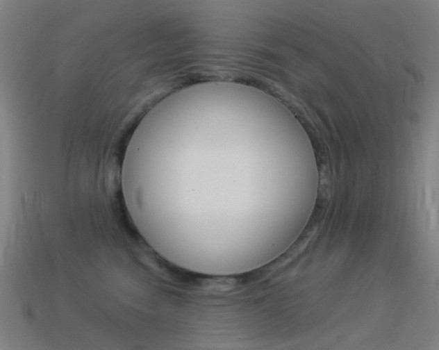 X0000114530474200910191014