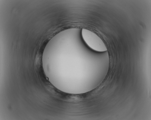 X0000114530475200910191014