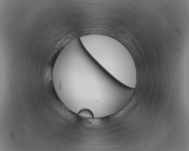 X0000114530478200910191014