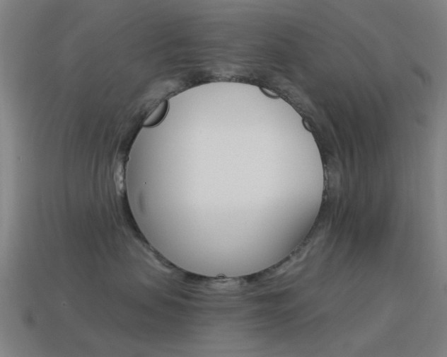 X0000114530479200910191014