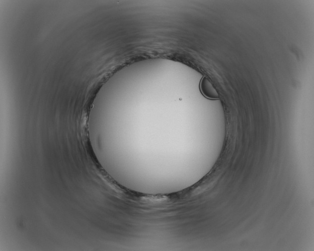 X0000114530480200910191014