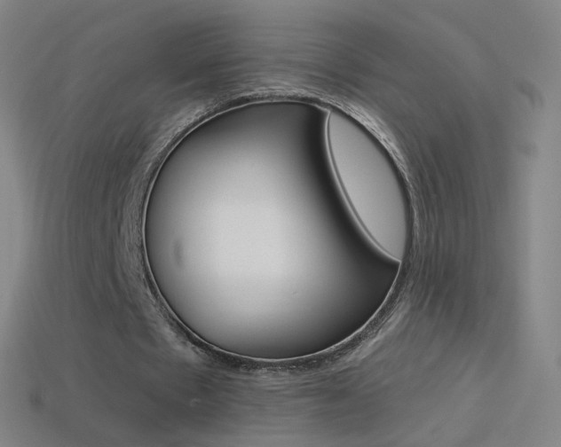 X0000114530481200910191013