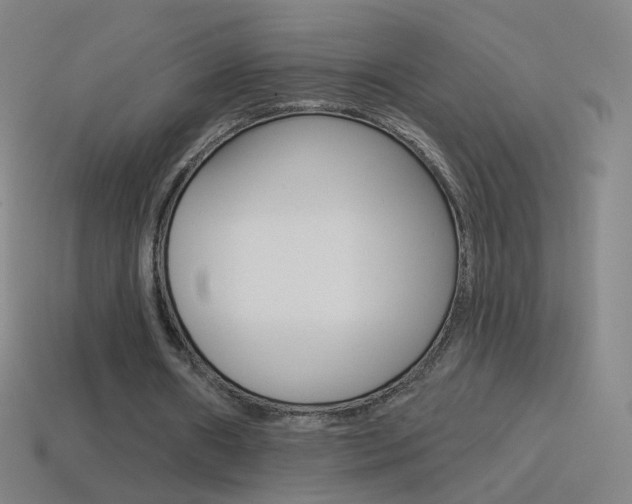 X0000114530482200910191013