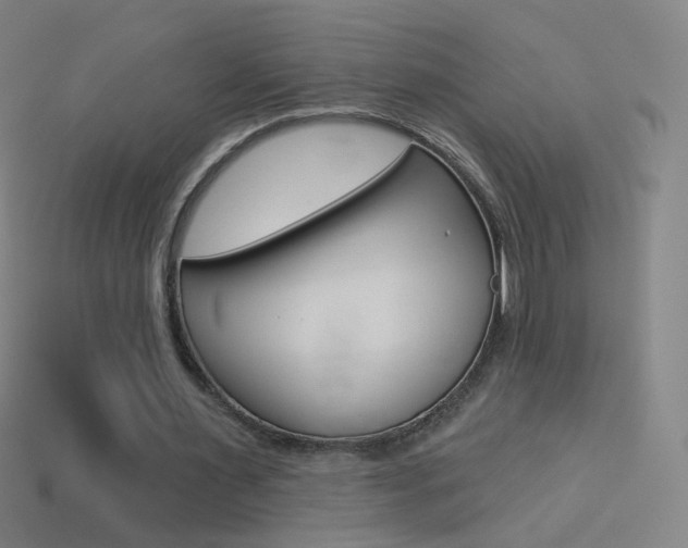 X0000114530483200910191013
