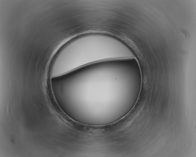 X0000114530484200910191013