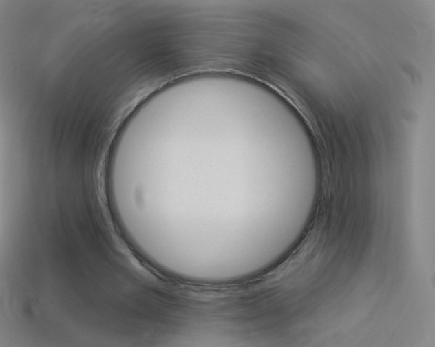 X0000114530485200910191013