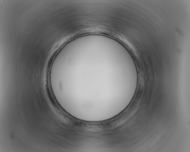 X0000114530486200910191013