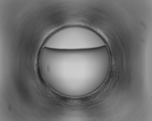 X0000114530487200910191013