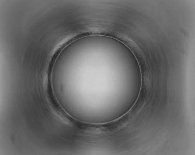 X0000114530488200910191013