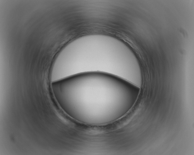 X0000114530489200910191013