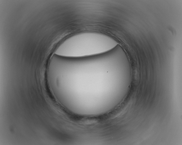 X0000114530491200910191013