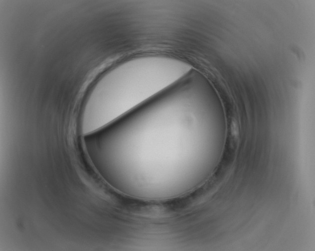 X0000114530492200910191013