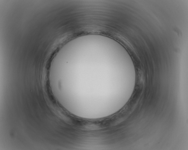 X0000114530494200910191013