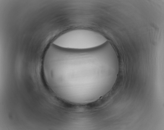 X0000114530495200910191013