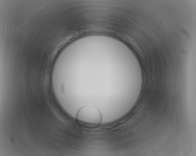 X0000114530496200910191013