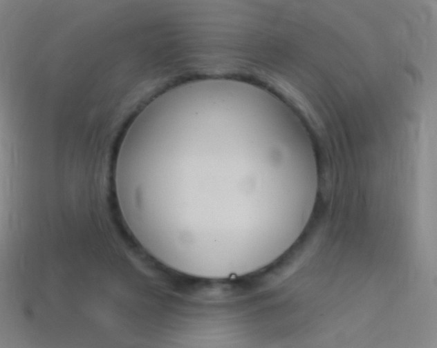 X0000114530497200910191013