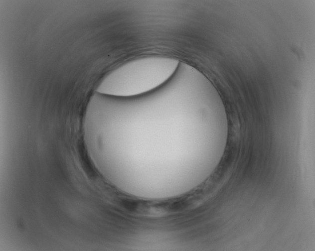 X0000114530498200910191013