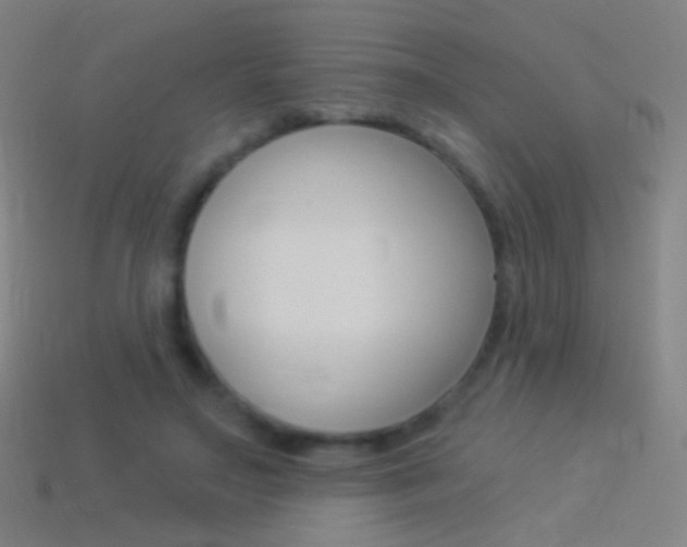 X0000114530499200910191013