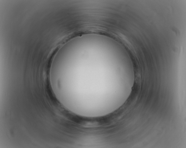 X0000114530500200910191013