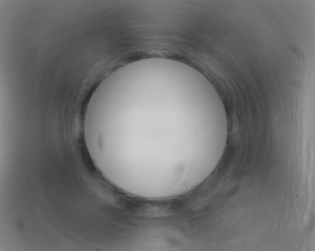 X0000114530502200910191013