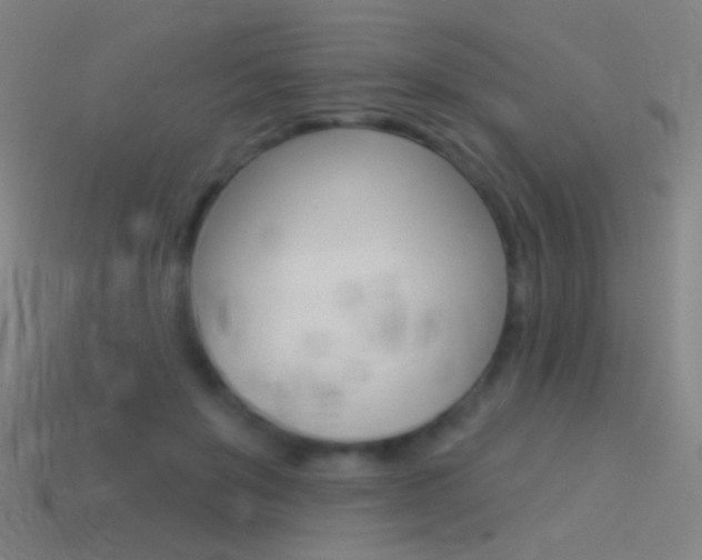 X0000114530503200910191013