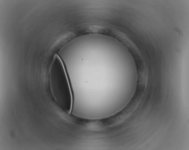 X0000114530505200910191013