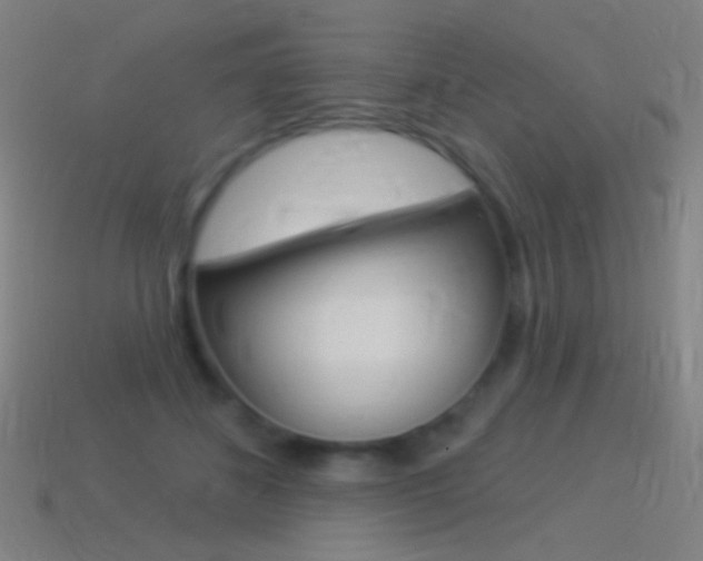 X0000114530508200910191013
