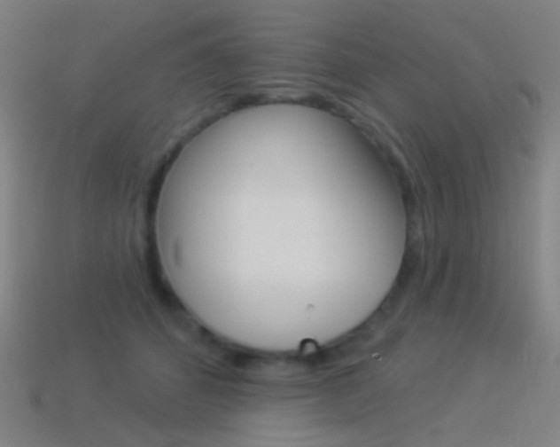 X0000114530512200910191013
