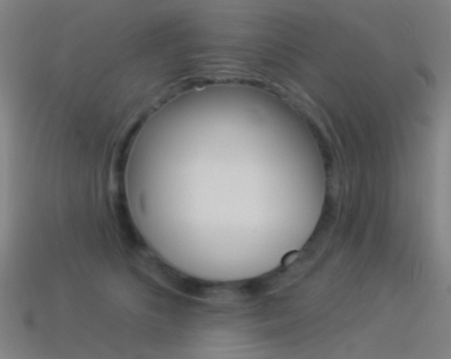 X0000114530516200910191013