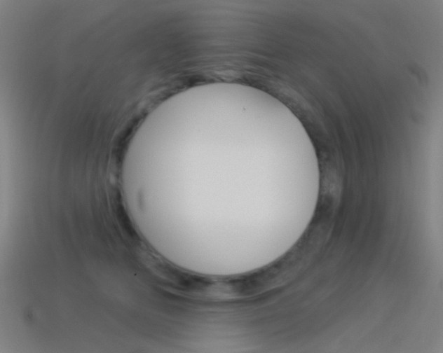 X0000114530518200910191013
