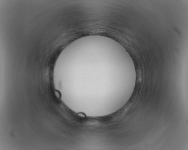 X0000114530519200910191013
