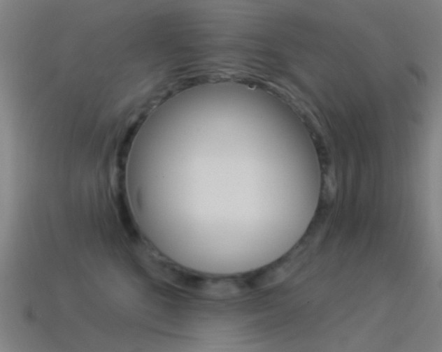 X0000114530520200910191013