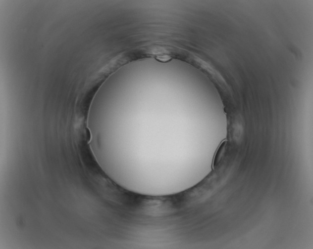 X0000114530521200910191013