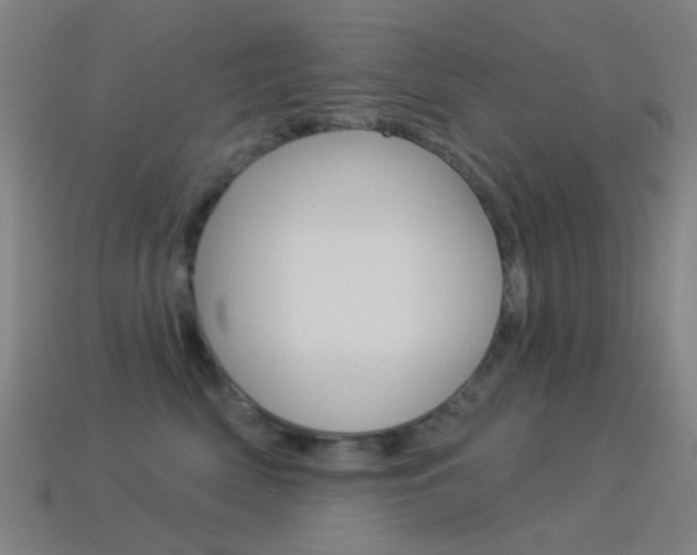 X0000114530522200910191012