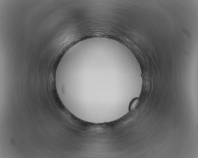 X0000114530523200910191012
