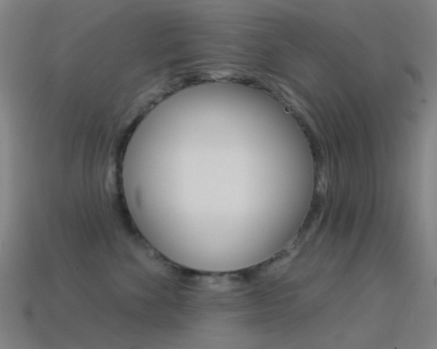 X0000114530524200910191012
