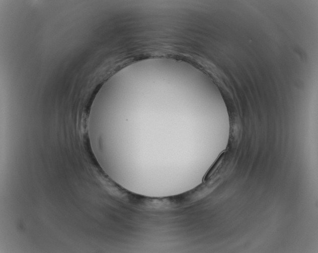 X0000114530525200910191012