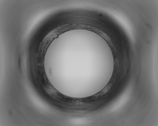 X0000114530526200910191012