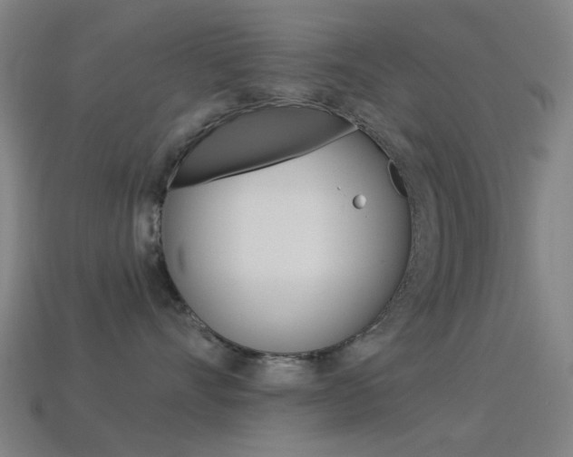 X0000114530528200910191012