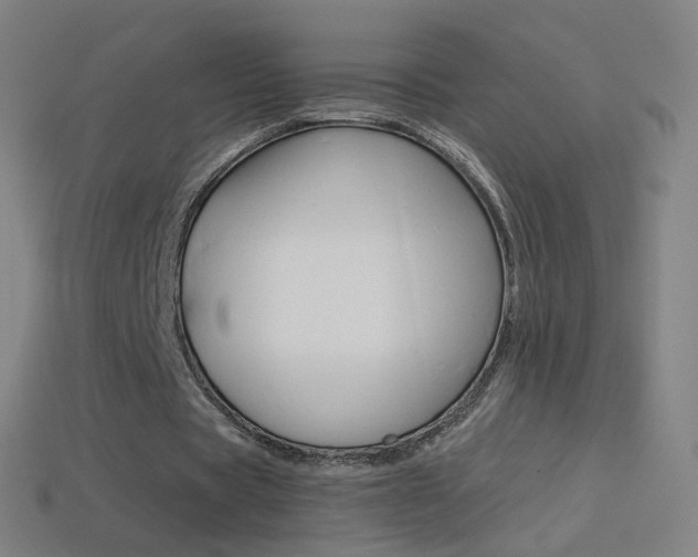 X0000114530529200910191012