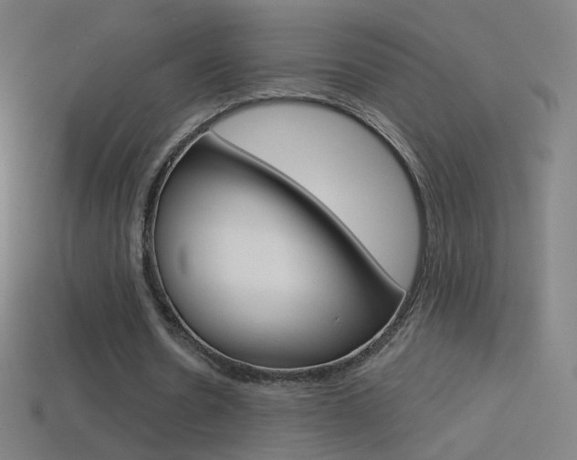 X0000114530530200910191012